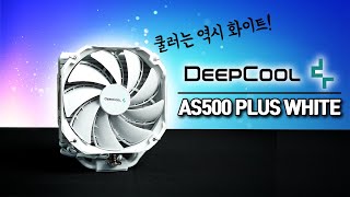 퀘이사존