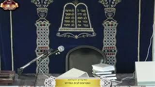 בית המדרש "תורת דוד" ¤ "צום הרביעי" י"ז בתמוז ¤  י"ז תמוז תשפ"ה (13.7.2025) (מוסדות תורת דוד) - התמונה מוצגת ישירות מתוך אתר האינטרנט יוטיוב. זכויות היוצרים בתמונה שייכות ליוצרה. קישור קרדיט למקור התוכן נמצא בתוך דף הסרטון