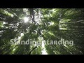 Standing on the Promises - Medley (Selah)