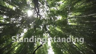 Standing on the Promises - Medley (Selah)