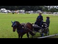 Fahrtrunier Rheine Mesum 2 7 2016
