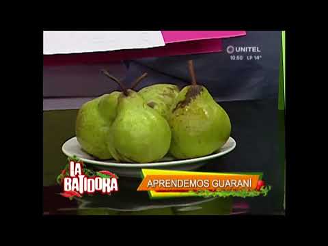 download lagu mp3 mp4 Aguacate En Guarani, download lagu Aguacate En Guarani gratis, unduh video klip Aguacate En Guarani