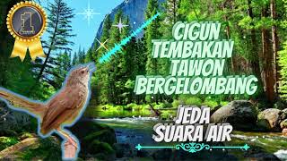 Download lagu Cigun Bren Tembakan Gelombang Tawon    Jeda Suara Air mp3 Download lagu Cigun Bren Tembakan Gelombang Tawon    Jeda Suara Air mp3