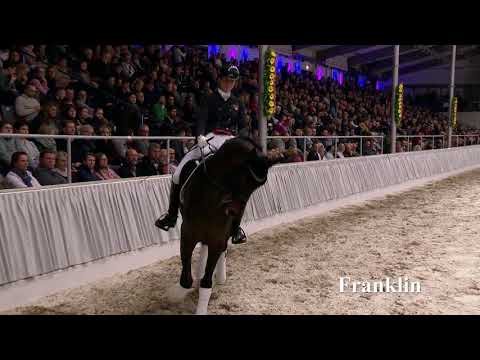 Franklin-Hengstkollektion 2019 deutsch