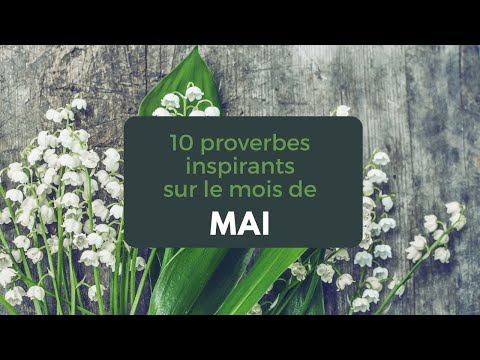 10 proverbes sur le mois de mai
