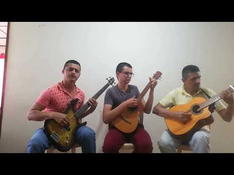 Si Negabas que Buscabas (Los Hermanos Salgado de Colombia)