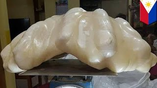 World’s biggest pearl: Massive 34 kilo pearl worth $100 million found in Philippines - TomoNews
