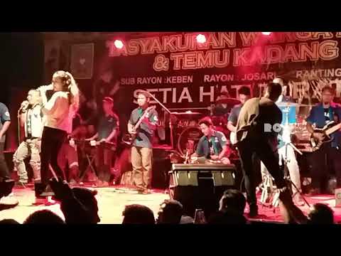 Irene Ghea Monderella - Banyu Langit OM THE LIONS