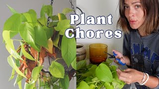 Fixing my root rotted plant