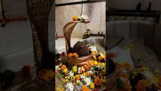 Download lagu Shiv Shiv Shankar har har|| Shankar Jay Jay Shankar|| YouTube #shorts #funny # video mp3