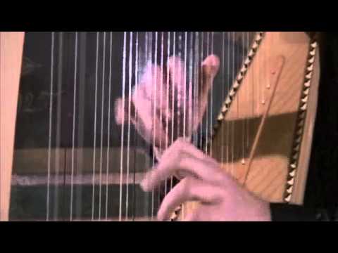 International Festival of Harp - CORMAC DE BARRA Suoni d'arpa dall'Irlanda ( 1 )