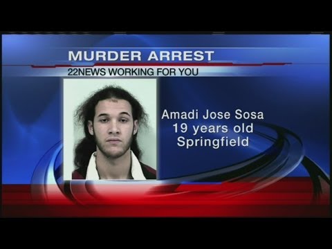 Springfield Arrest