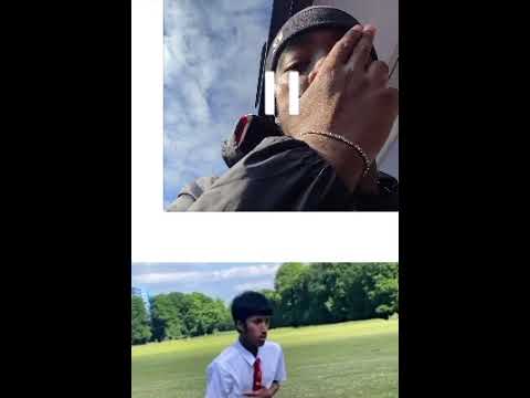 zt.switch - verbal abuse