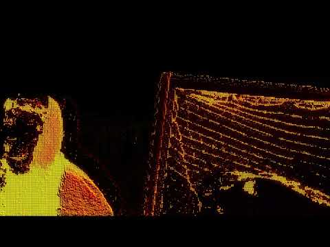 Shark Breach - Birds | Edited By @ndoye__ |