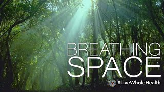 Live Whole Health #205: Peace in the present 1 mqdefault