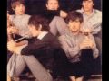 The Hollies - Like Every Time Before 
