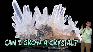 CAN POSSUM PATTY GROW A CRYSTAL? Every Stone Has a Story to Tell Sunday!