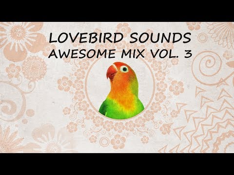 Lovebird Sounds - Awesome Mix Vol. 3