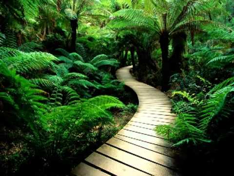 Max Surine - Some Sweet Day