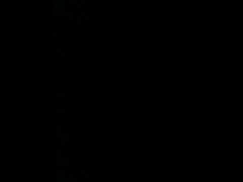 WE ARE ONE - JAPAN PIPS