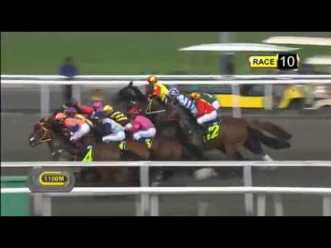 River Of Gold - Singapore Horse Race winner 16 07 2017 time 1m 04 67 sec