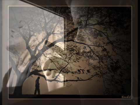 Tam Tam Go! - Belleza Pasajera