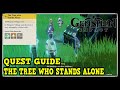 Genshin Impact The Tree who Stands Alone World Quest Location and How to Complete