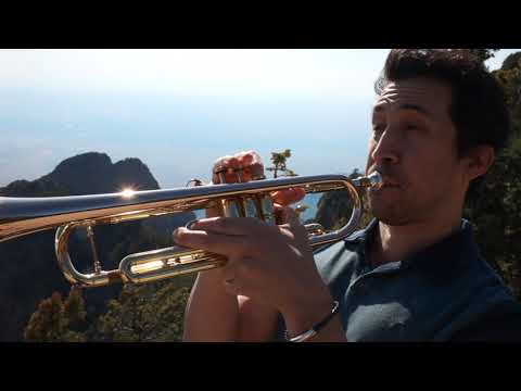 Promotional video thumbnail 1 for Freelance Trumpet player for hire