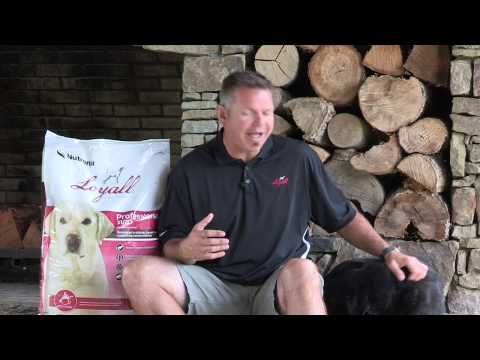 Trainer J. Paul Jackson on Loyall Professional Brand Dog Foods Superior Formula