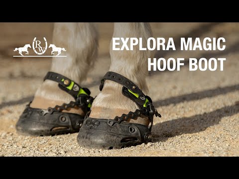 Explora Magic Hoof Boot Review