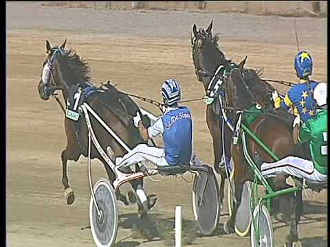 Trotto 12/09/2017 - 1ª corsa