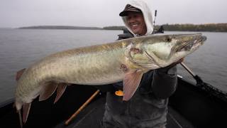 Searching For A Master Angler Musky