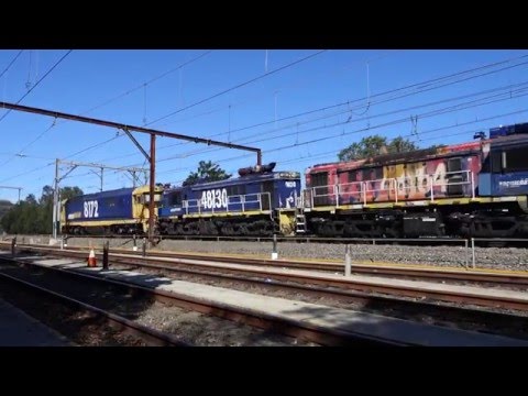 81's & 48's with Pacific National 5938 Flour Train - 16/2/16