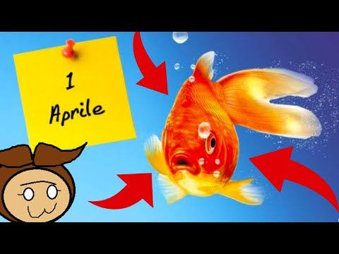 IL PESCE D'APRILE PIÙ GRANDE DEL MONDO 🐡