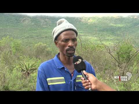 KwaCeza residents fearing roaming elephants return to their homes