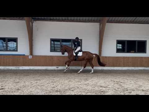 Owen (FÜRST JAZZ x SAN REMO) - Video 2 video thumbnail