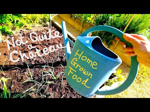 Not Quite a Chateau DIY 205 - A rewarding day in the Potager  - Potato harvest - & home grown food