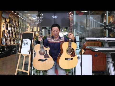 Taylor guitars 612CE vs Maton 808TE FLYMUSIC