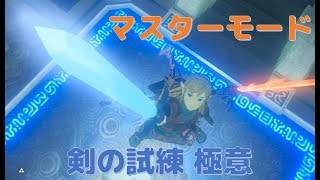 【ゼルダの伝説】マスターモード 剣の試練 極位クリア