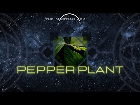 , title : 'KING OF SPICE | BLACK GOLD | PEPPER PLANT | Piper nigrum'