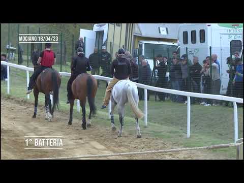 CORSE MOCIANO - 18 Aprile 2023