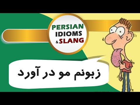 Persian/Farsi Idioms and Slang - 08 Zaboonam moo dar avord! زبونم مو در آورد
