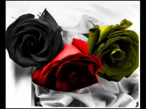 Annett   Eine Rose für mein Deutschland‏