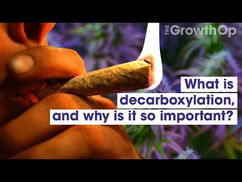 Was ist Decarboxylierung und warum ist sie so wichtig? | Weed Easy