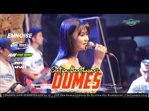 DUMES - Shintya martasari TEMUROSO MUSIC ft ONE Music audio