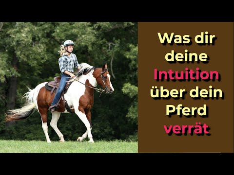 Wie deine Intuition deine Angst vorm Reiten unterstützen kann