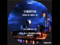 Liquefied - Spend My Money (Heiken Remix) 