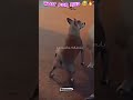 Dila Teer Bija Ppp Song Dijan Teer Bija HD Song Shortvideo Youtube Youtubeshorts Viral