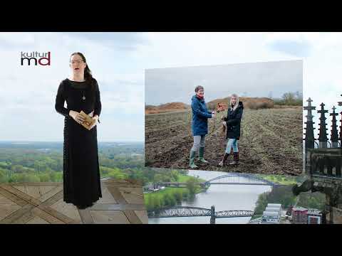 BImA-Beschäftigte aus ganz Deutschland forsten ehemaligen Acker auf