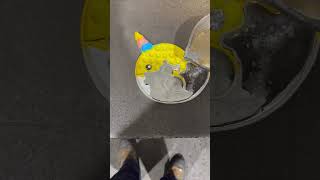 Person pours molten metal into a narwhal shaped pop it!